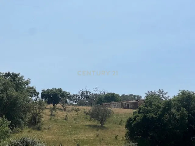 Herdade com 59,225 ha , 687m2 urbano, nascente de água, em Colos, Odemira - Image 47
