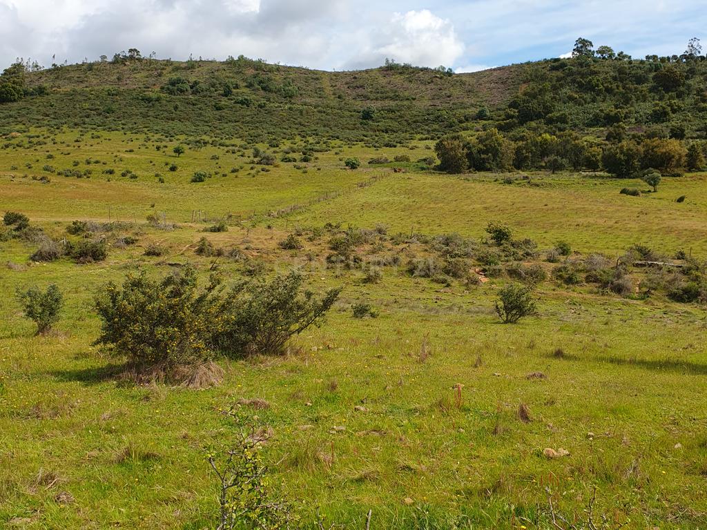 Terreno Urbano na Serra D`Ossa Redondo - Image 15
