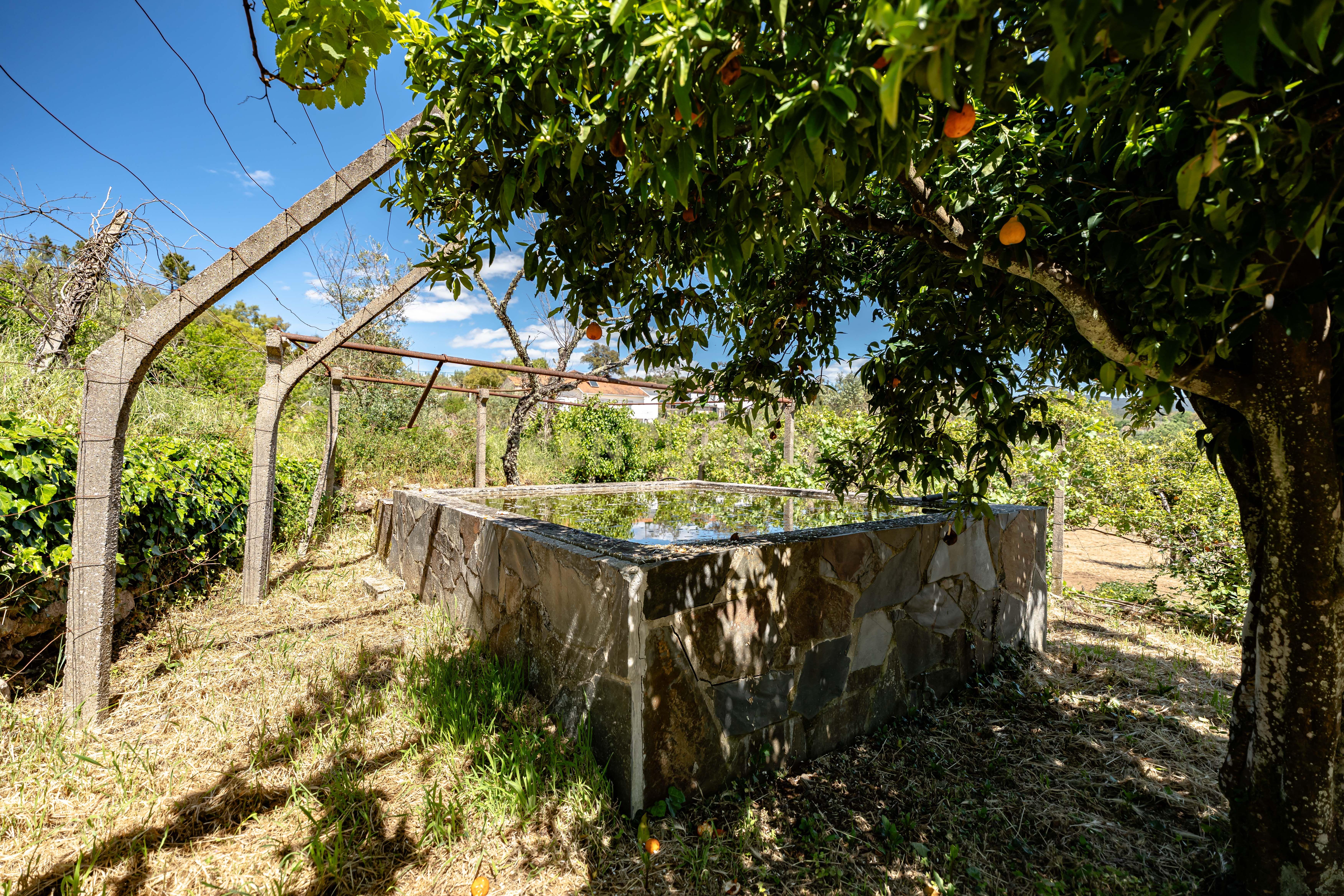 Moradia T6+ à venda em Pedrógão Pequeno, Sertã — foto 21