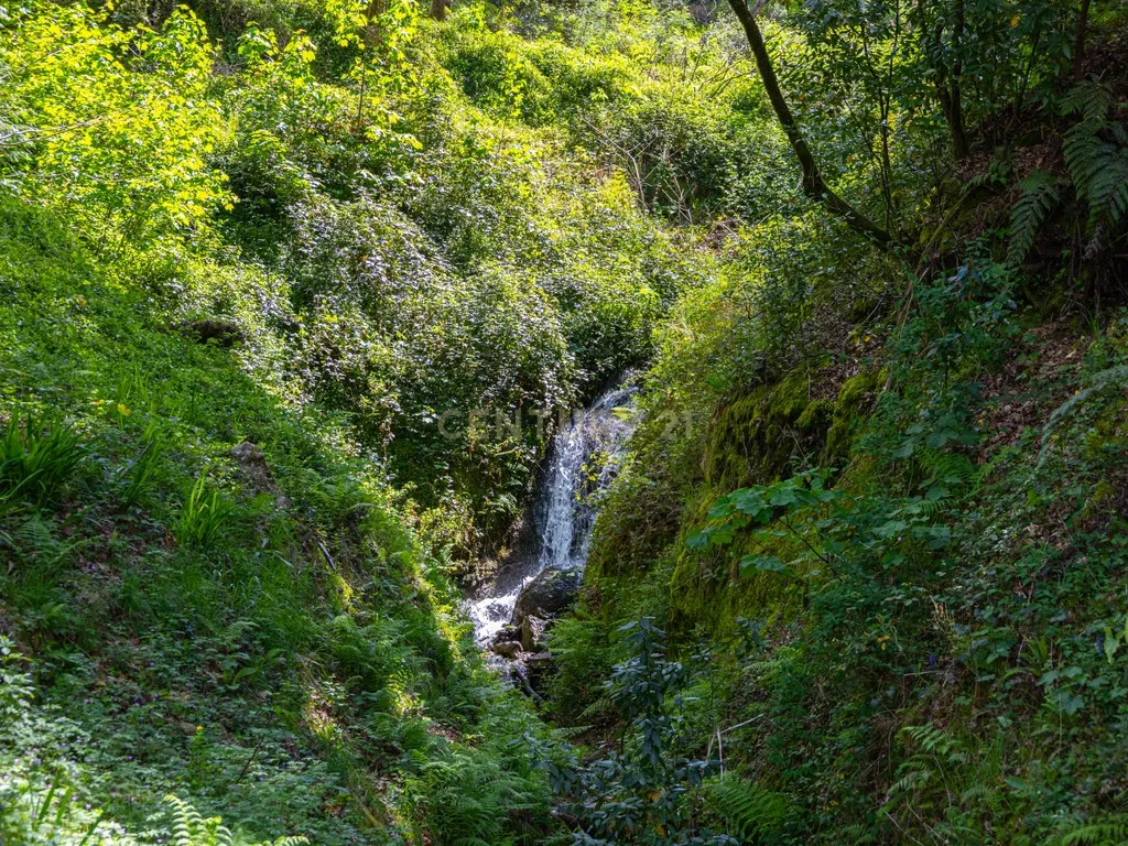 Um Refúgio no Gerês com 2 casas junto ao Rio - Image 3