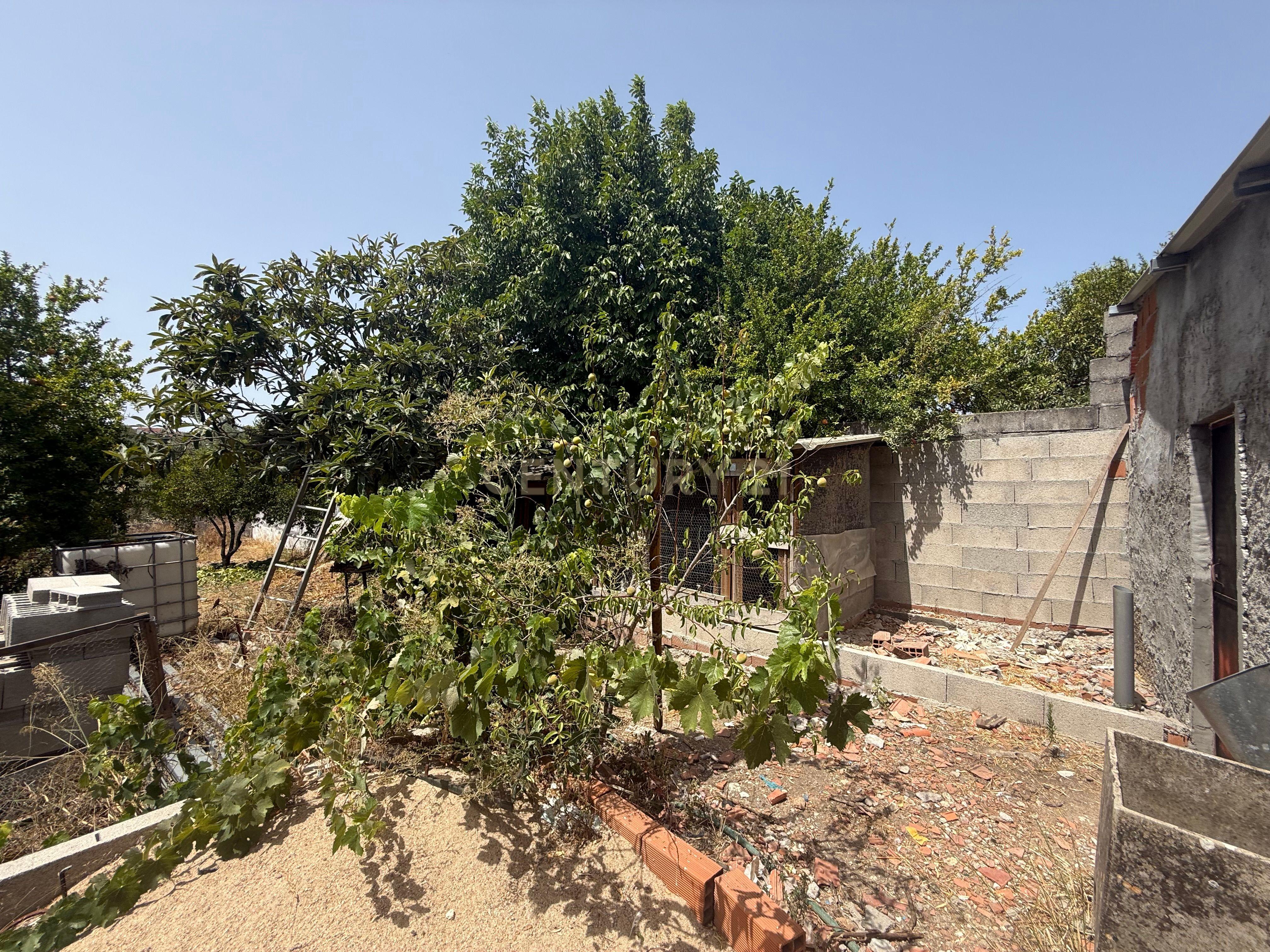 Moradia T1 à venda em Assentiz, Torres Novas — foto 23