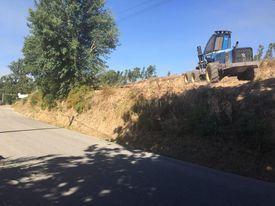 Terreno Urbanizável em São Lourenço do Bairro - Image 4