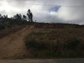 Terreno Urbanizável em São Lourenço do Bairro - Image 7