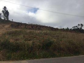 Terreno Urbanizável em São Lourenço do Bairro - Image 8