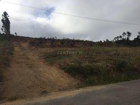 Terreno Urbanizável em São Lourenço do Bairro - Image 6