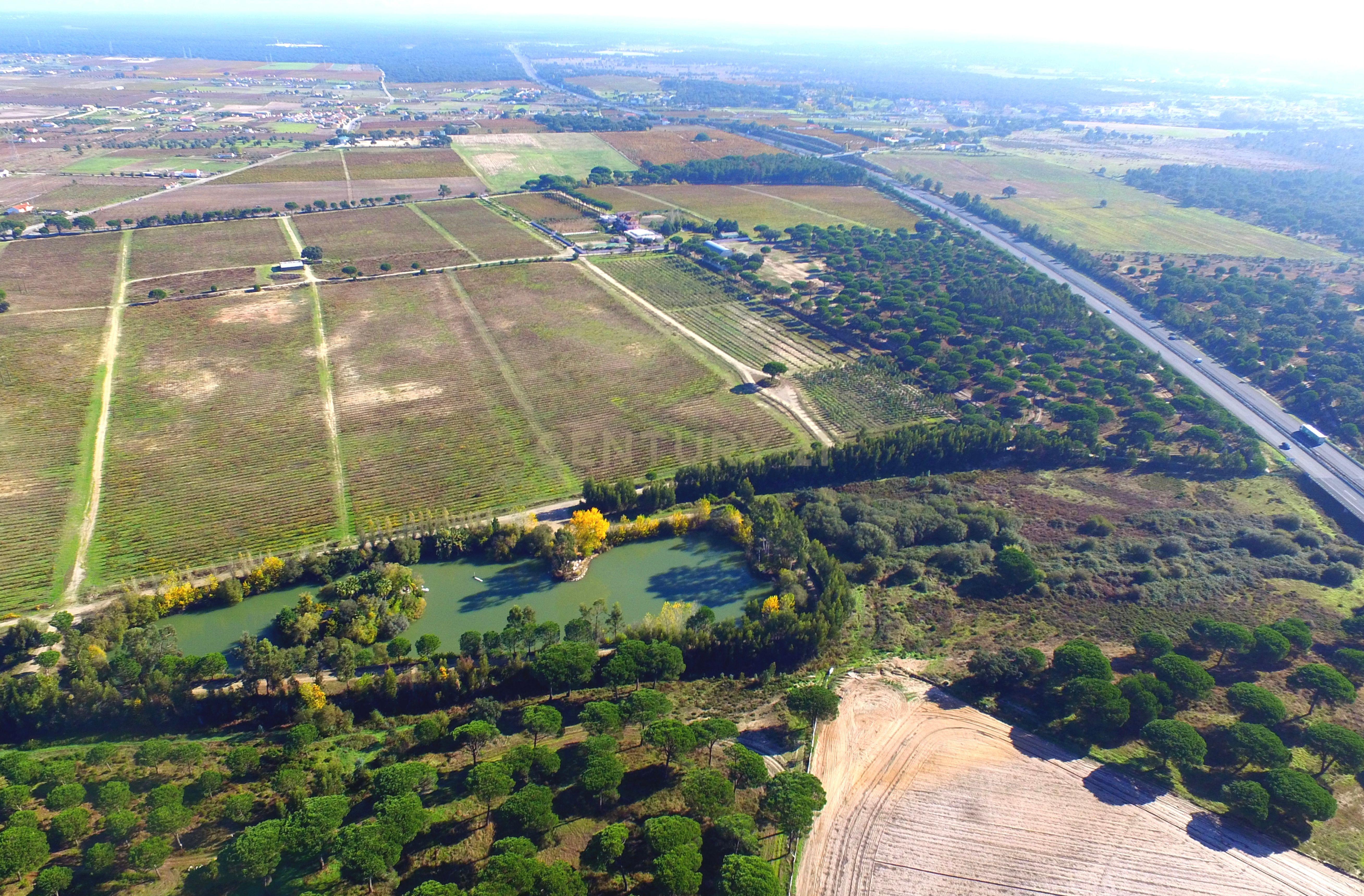 Herdade Dos Mascarenhas com 102 hectares em Palmela - Image 17