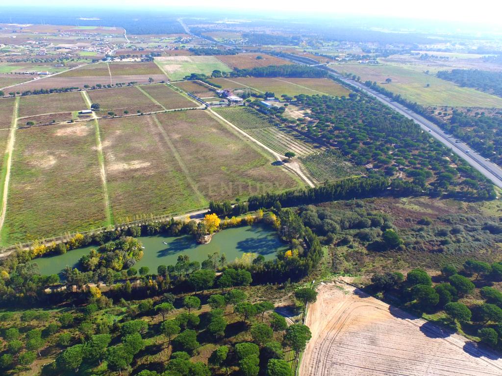 Herdade Dos Mascarenhas com 102 hectares em Palmela - Image 17
