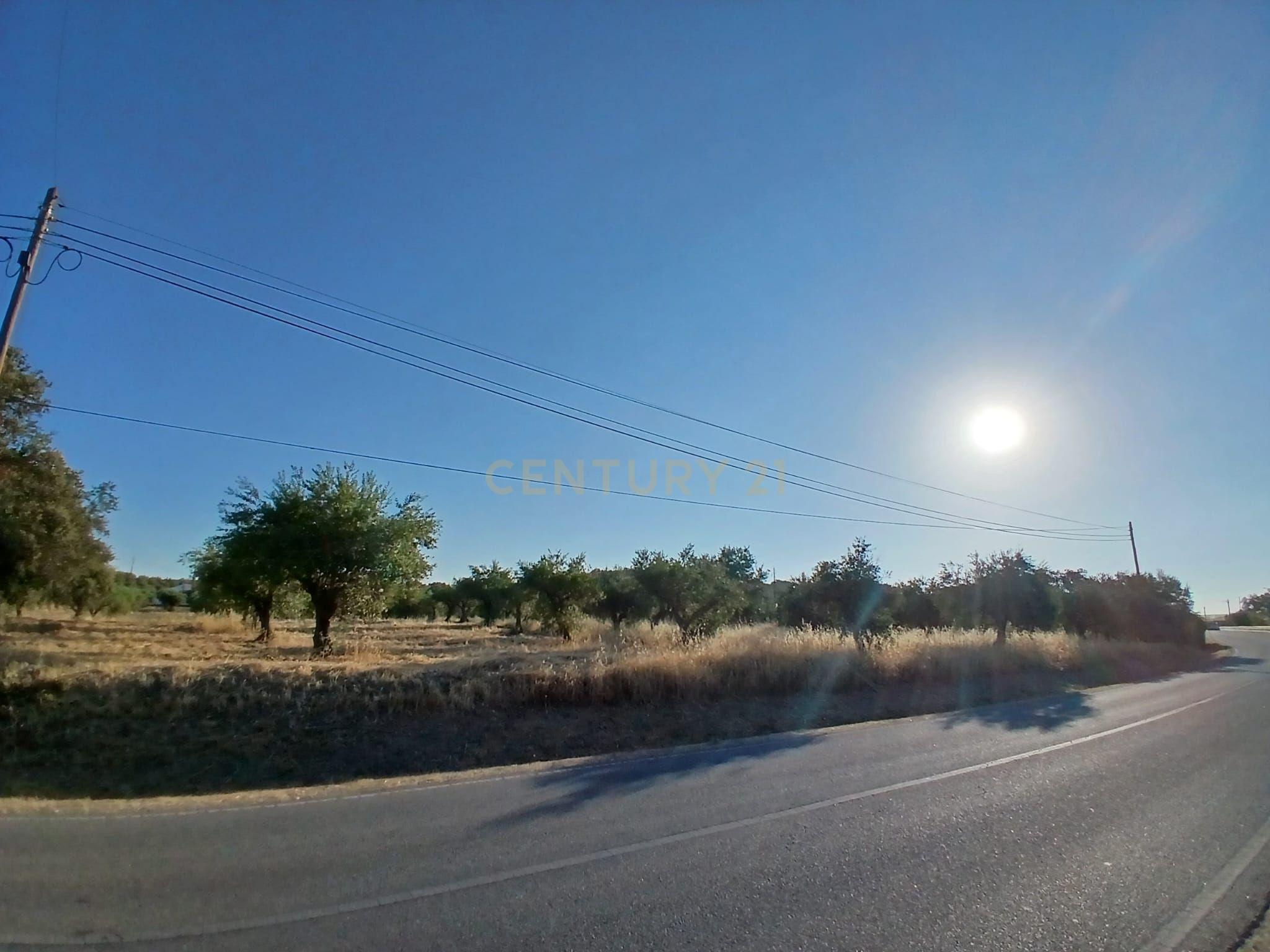 Fotografia 9 de Terreno Central em São Pedro do Corval, Vista para a Rocha dos Namorados