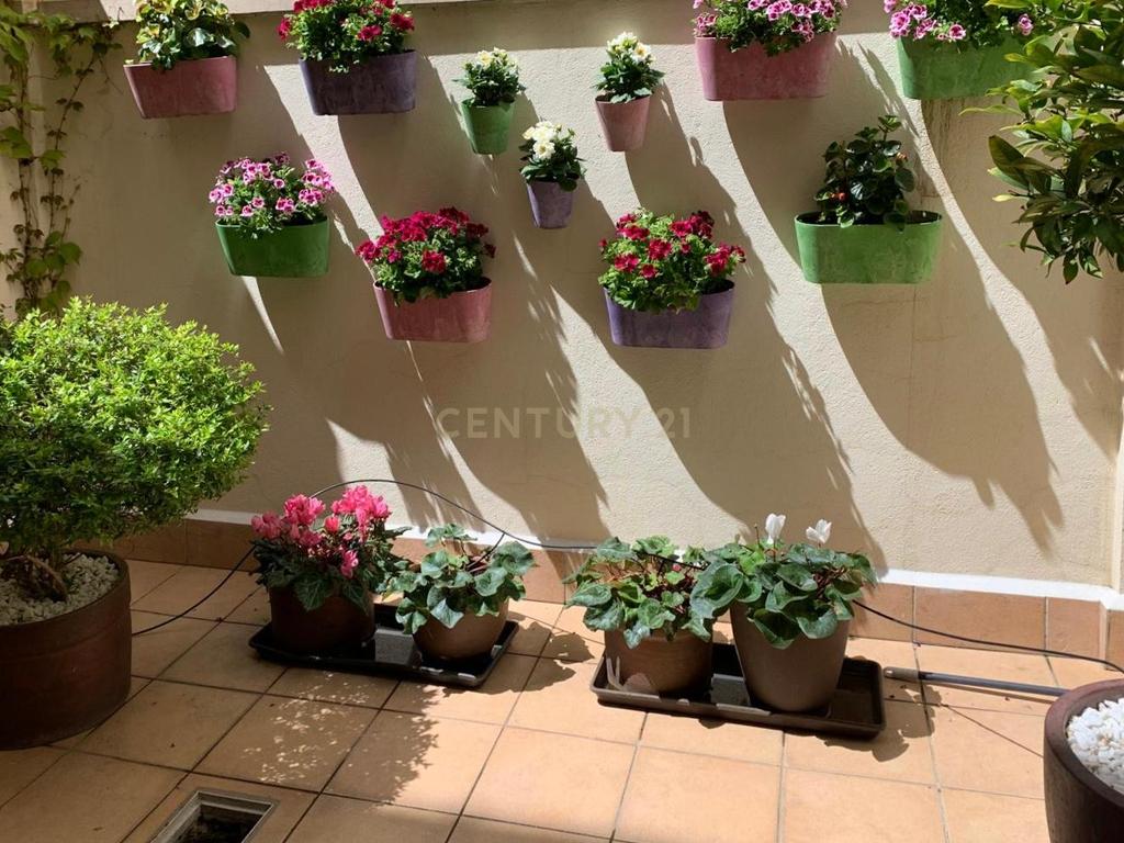 undefined - Image 47