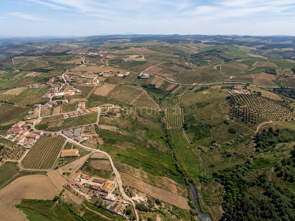 Terreno com PIP aprovado | 3.680 m² | Vista Serra de Montejunto - Image 4