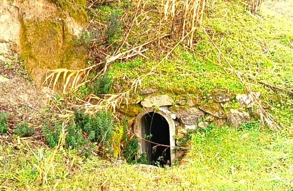 Belíssima ruína em terreno verdejante com vista deslumbrante para o Rio Douro, Baião, Porto - Image 28