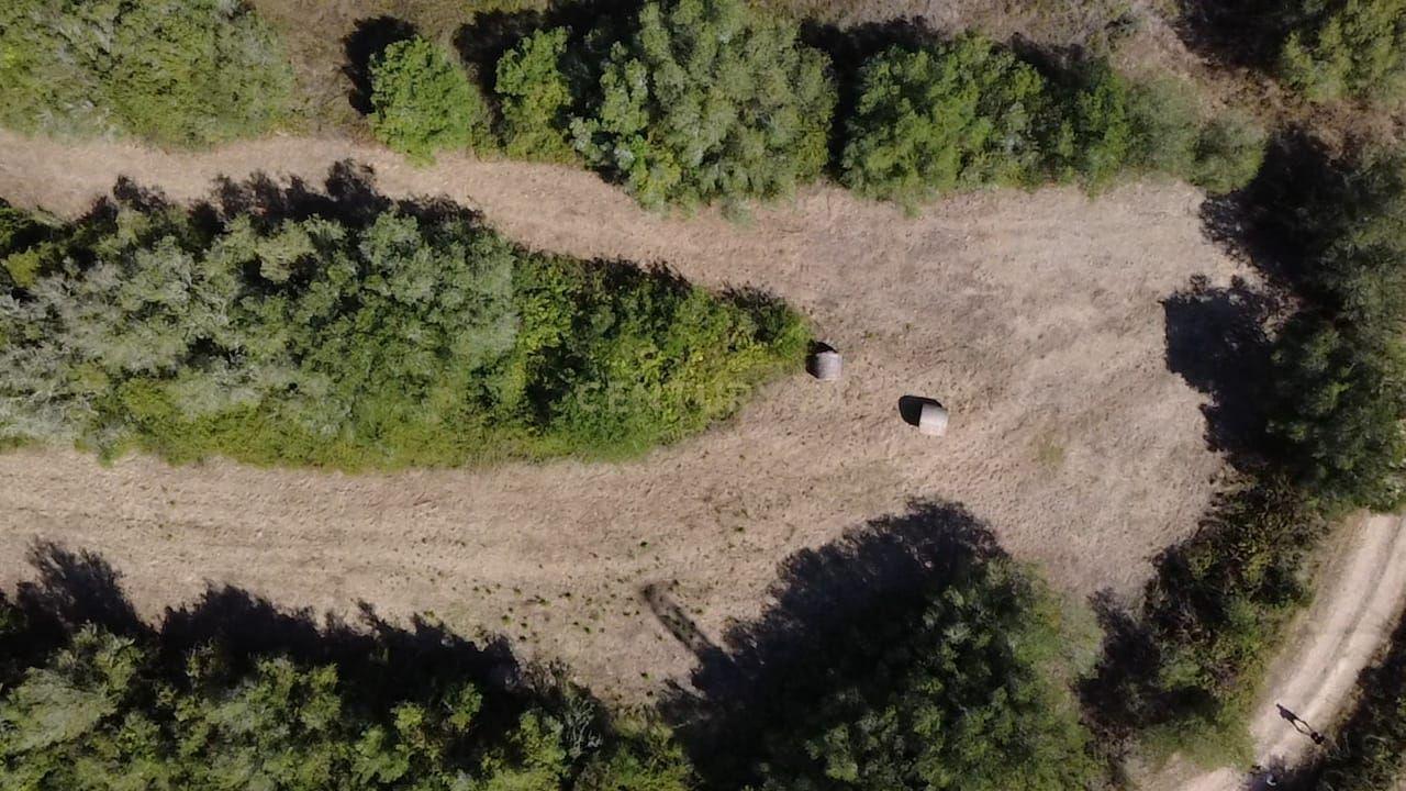 Fotografia 5 de Terreno rústico em área REN
