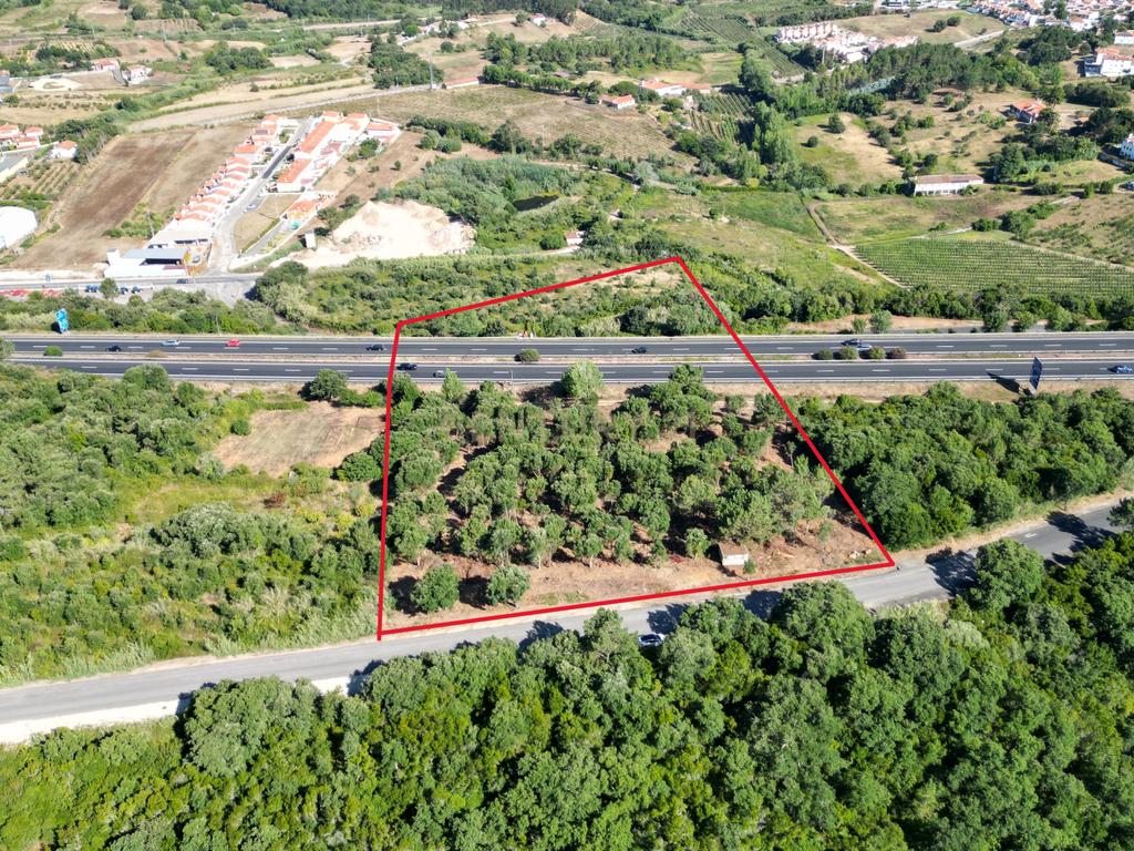 Terreno Rústico com Localização Estratégica – Usseira, Óbidos - Image 3
