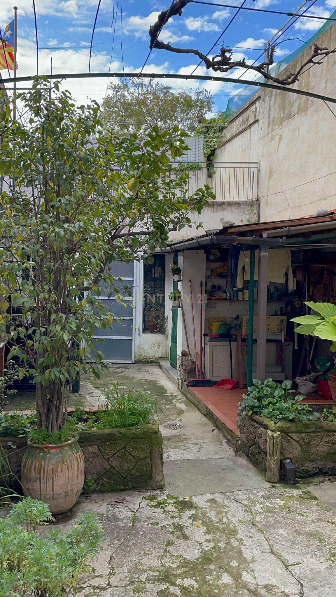 - Image 2