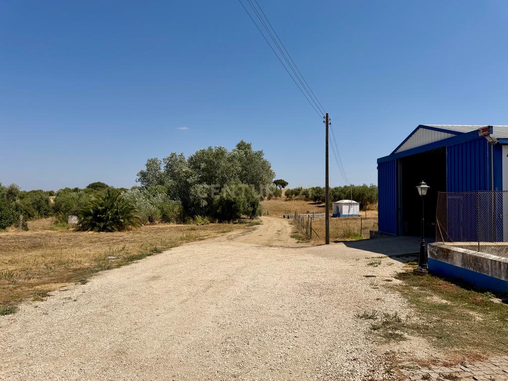 Herdade da Pandeira (93 Hectares) Vinha e Olival em Produção em Reguengos de Monsaraz. - Image 20