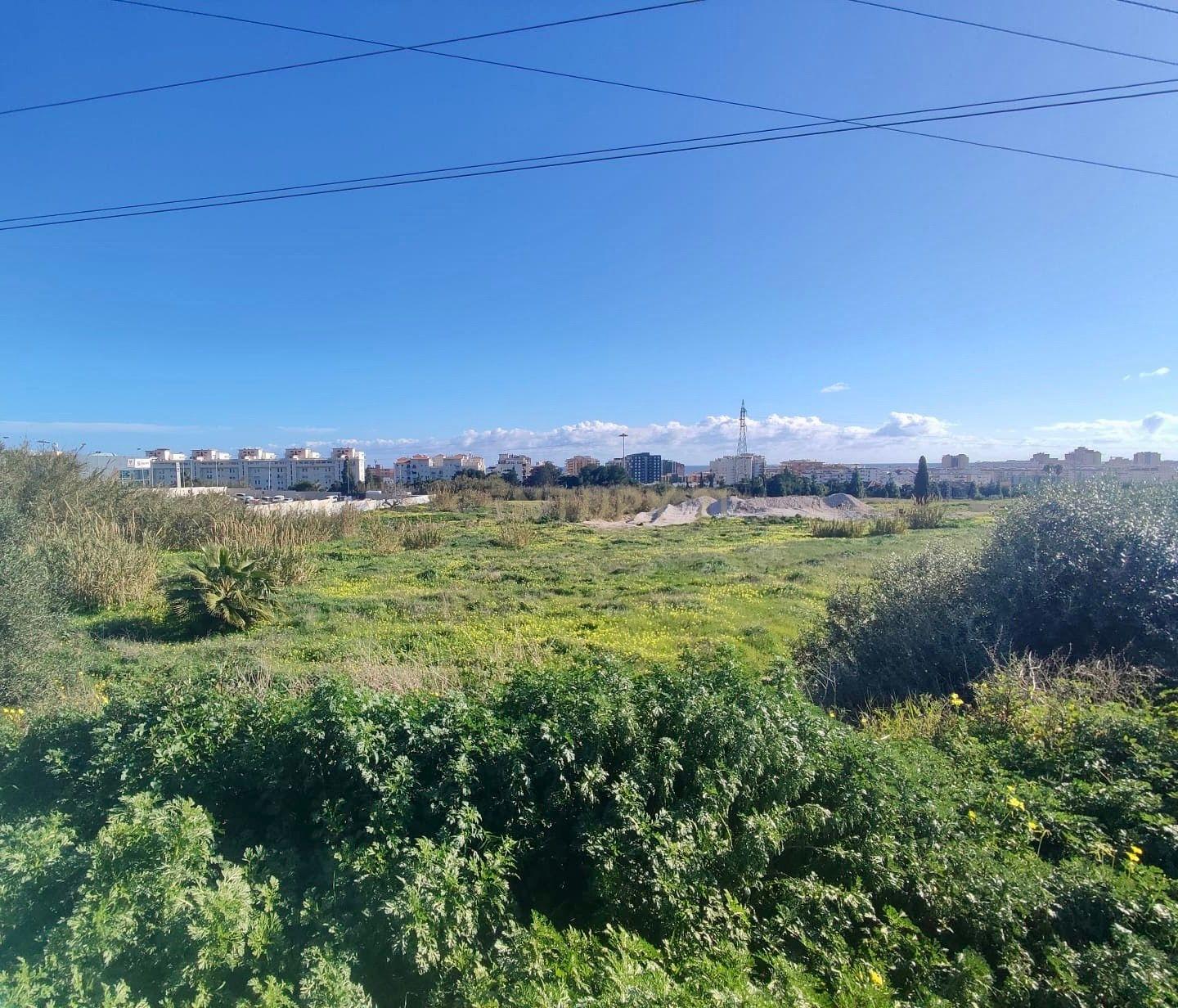 undefined - Image 5