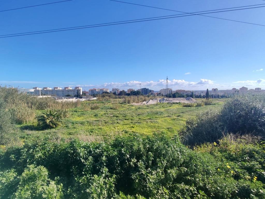 undefined - Image 5