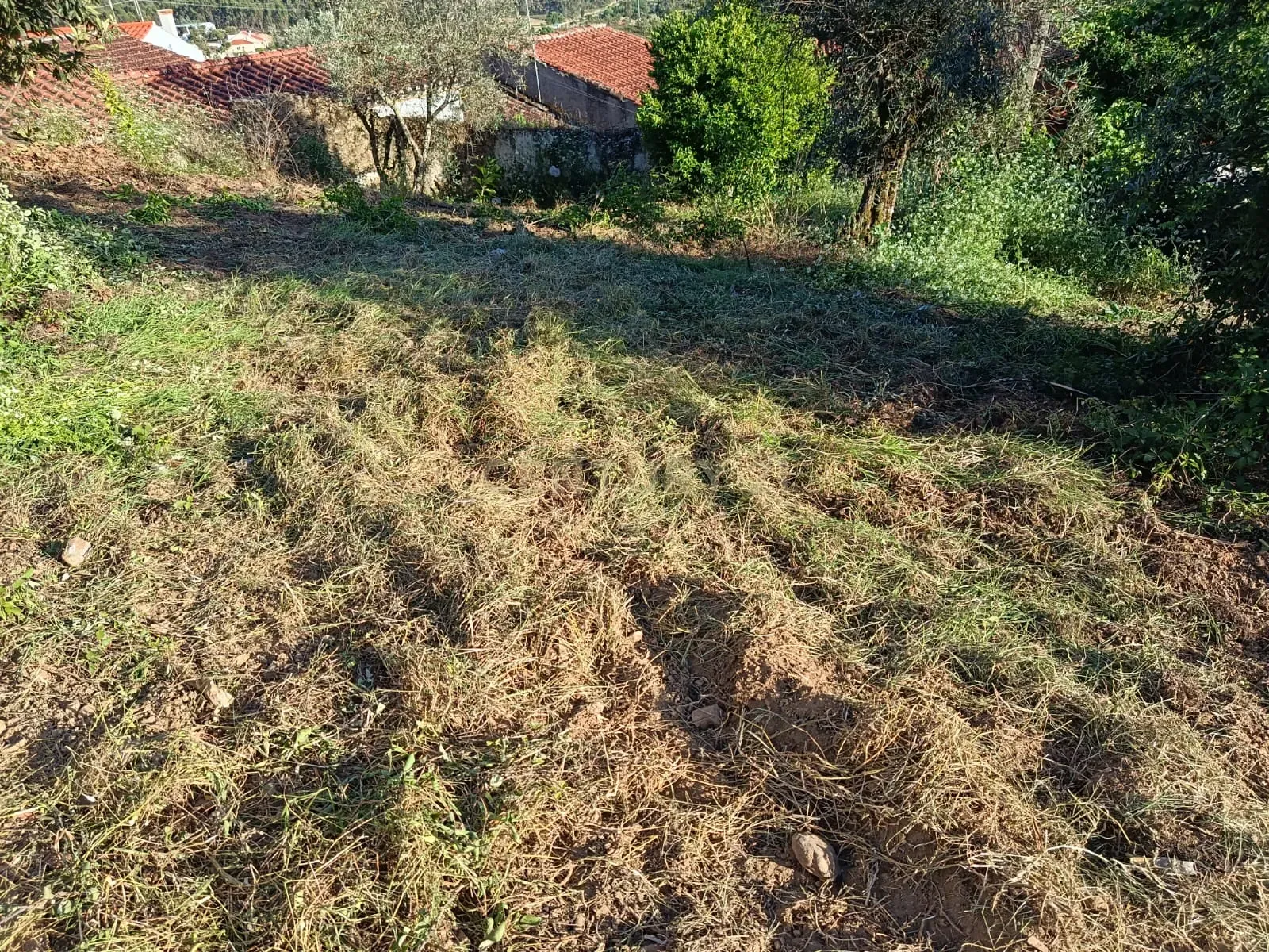 Moradia T3 à venda em Fratel, Vila Velha de Ródão — foto 33