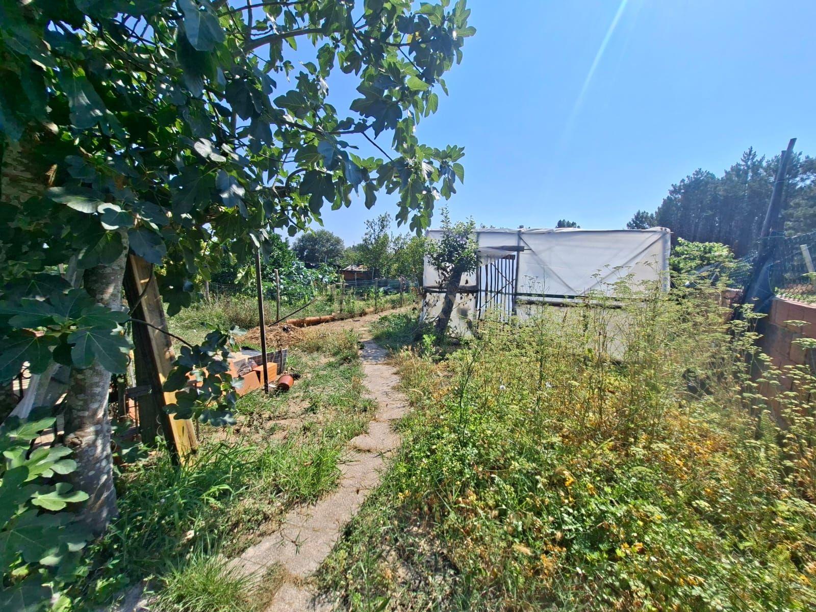 Fotografia 5 de Casa T3 em Santo André de Vagos com Jardim