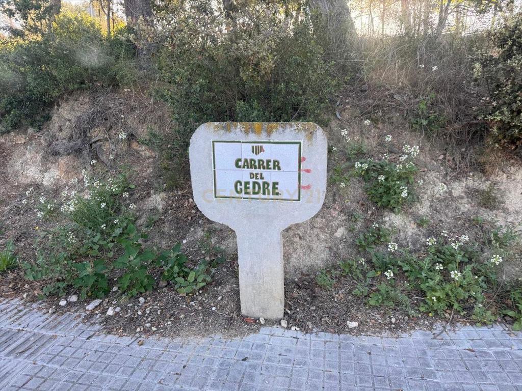 Terreno - Image 6
