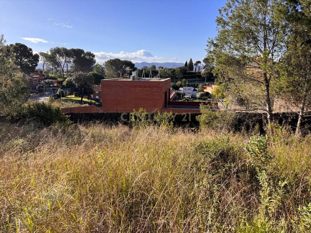 Terreno - Image 5