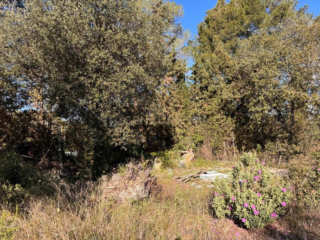 Terreno - Image 5