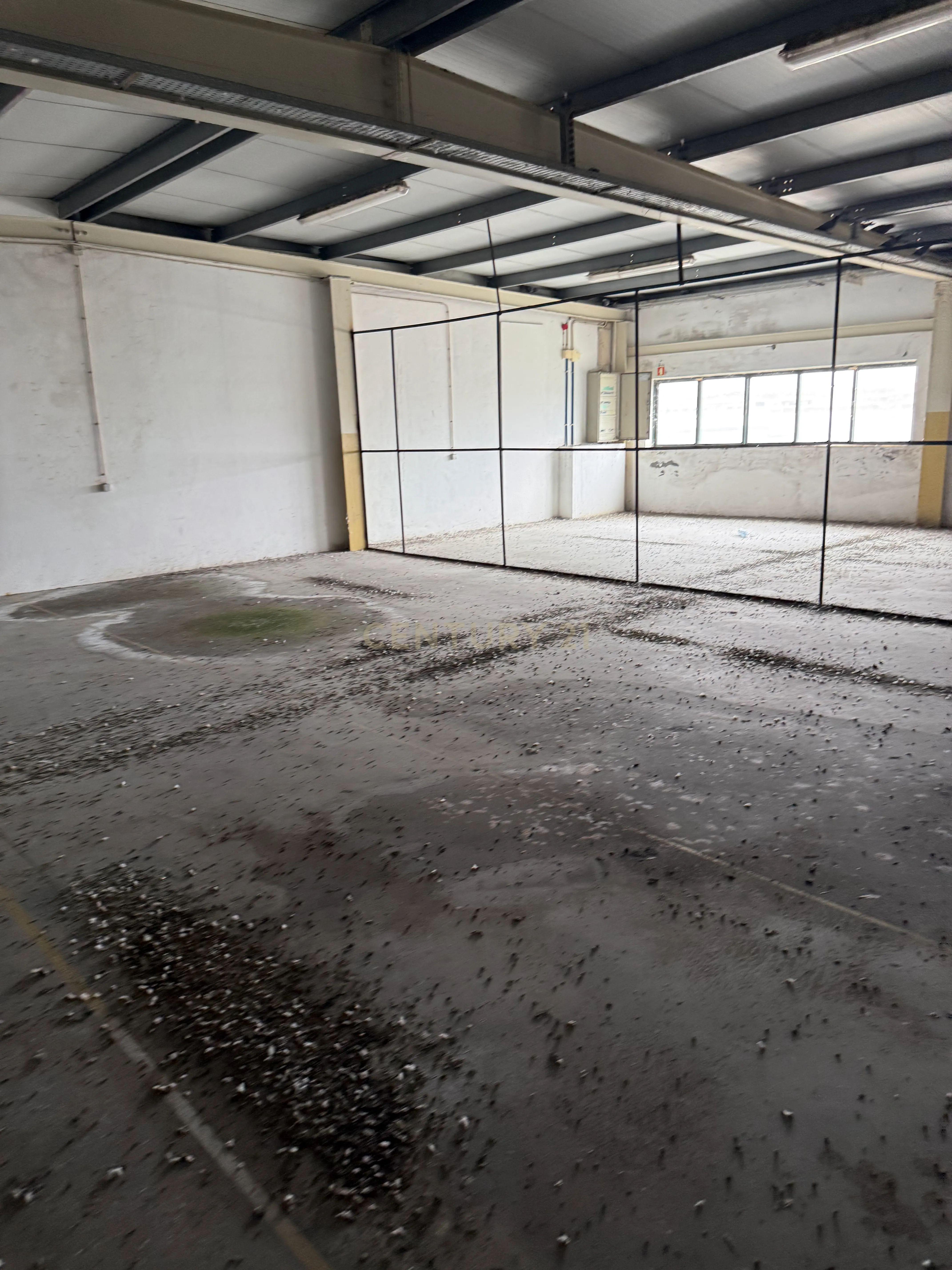 Fotografia 12 de Armazém de 1.000 m² | 2 Pisos | Elevado Potencial de Rentabilidade