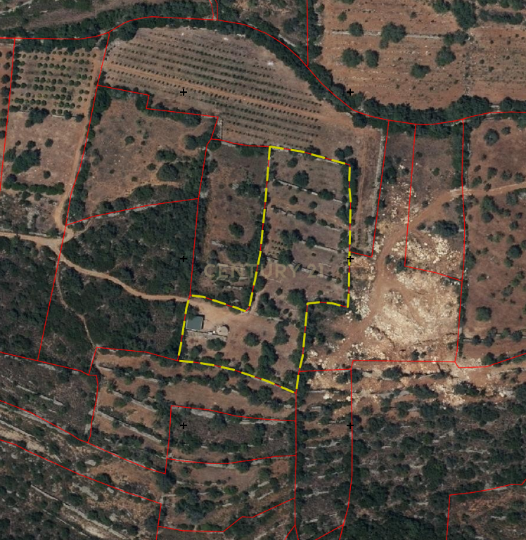230.000€ Conjunto de 3 terrenos rústicos - Barranco de S. Miguel - Image 4