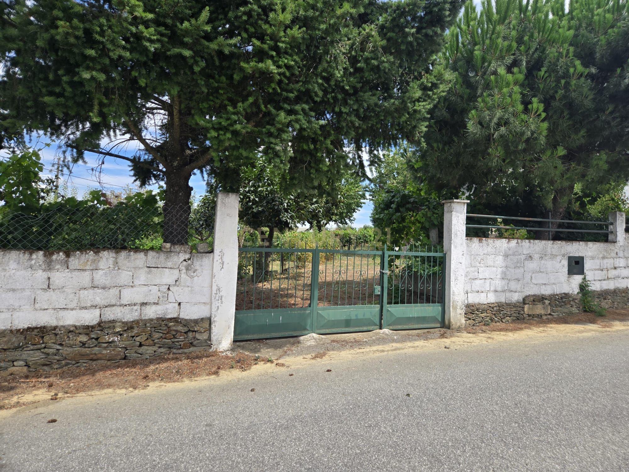 Fotografia 12 de Quinta Típica em São João da Pesqueira com Vista Panorâmica