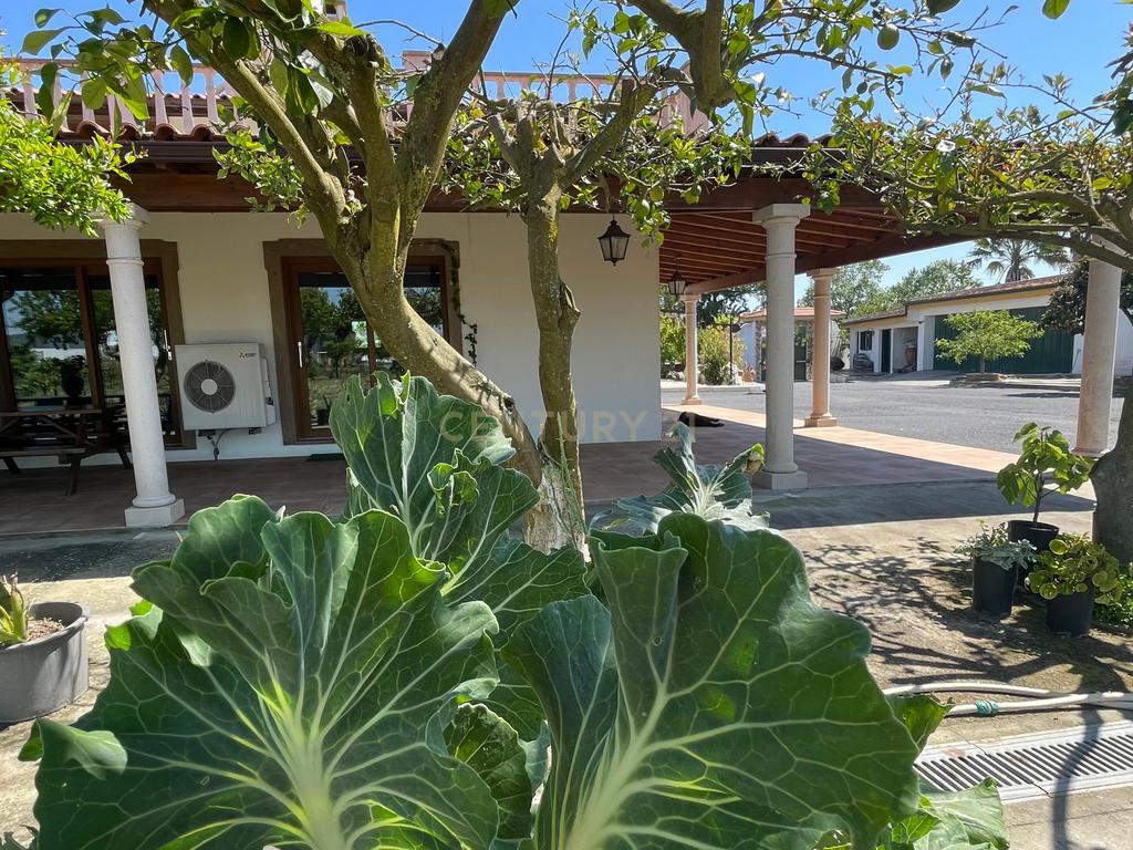 Quinta Rústica em Benavente - Image 10