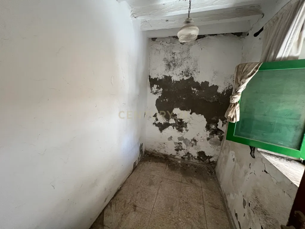 - Image 15
