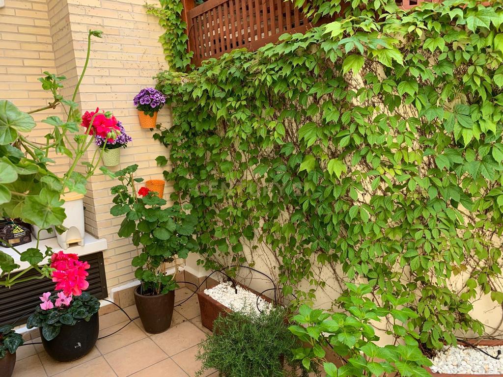 undefined - Image 33