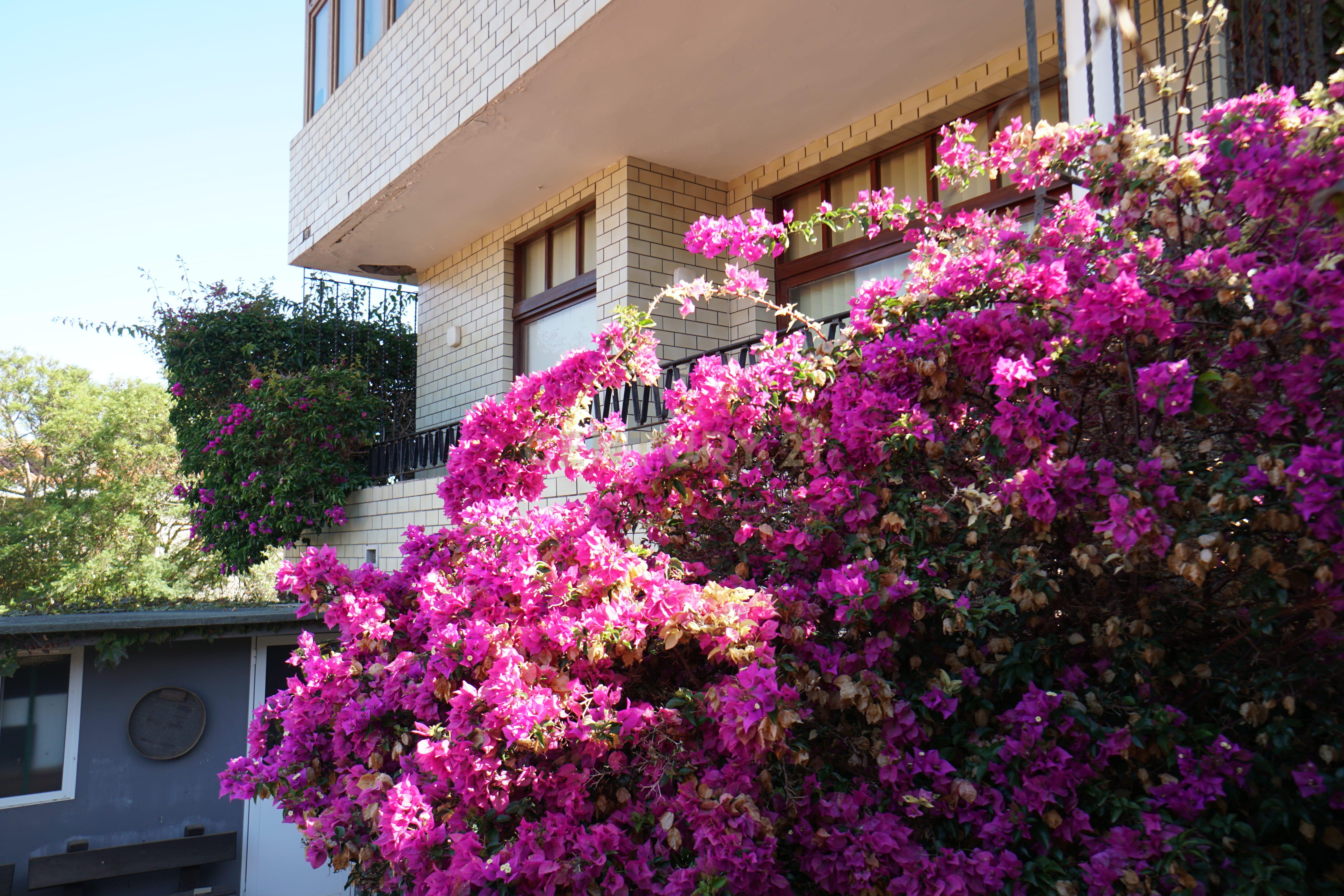 undefined - Image 43