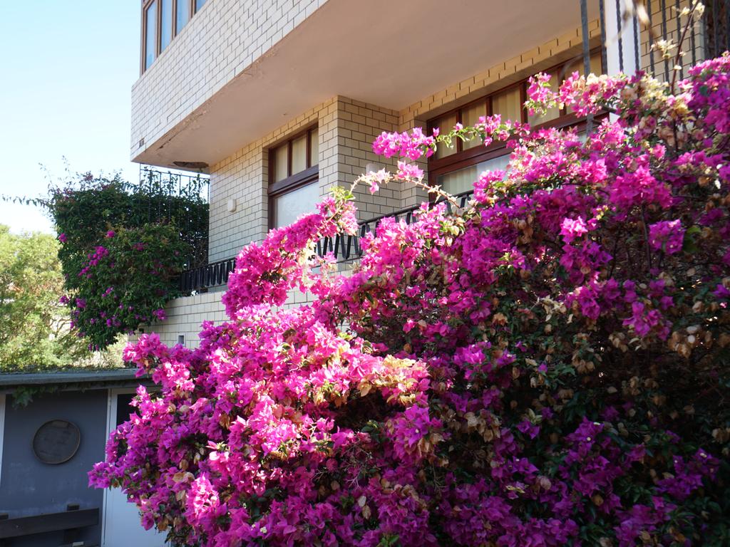 undefined - Image 43