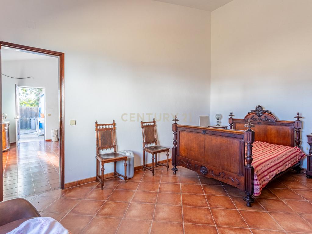 Quinta com 25.800M2 com moradia T6 em Casével, Santarém. - Image 30