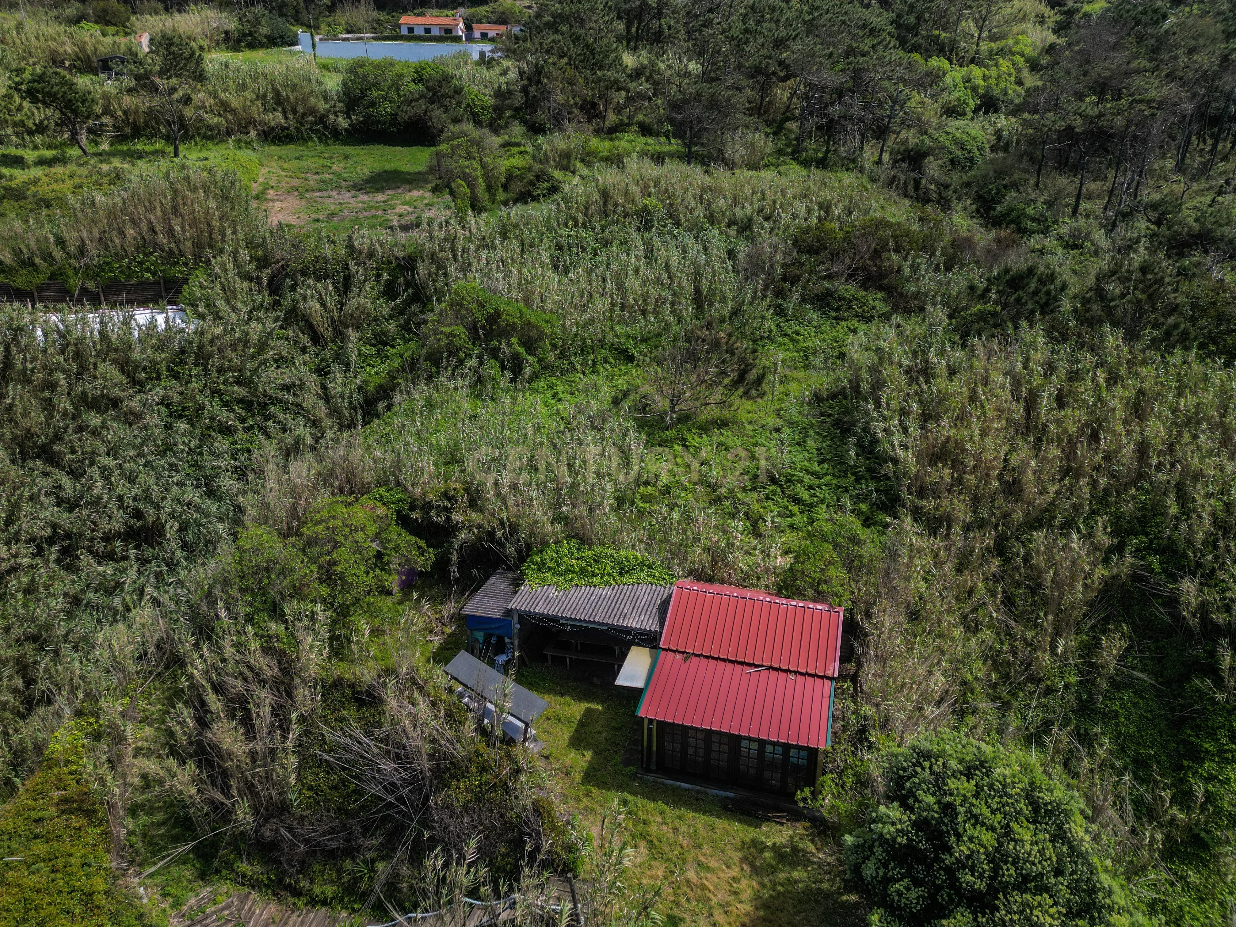 Terreno com Vista Mar e Montanha na Murtinheira - Image 17