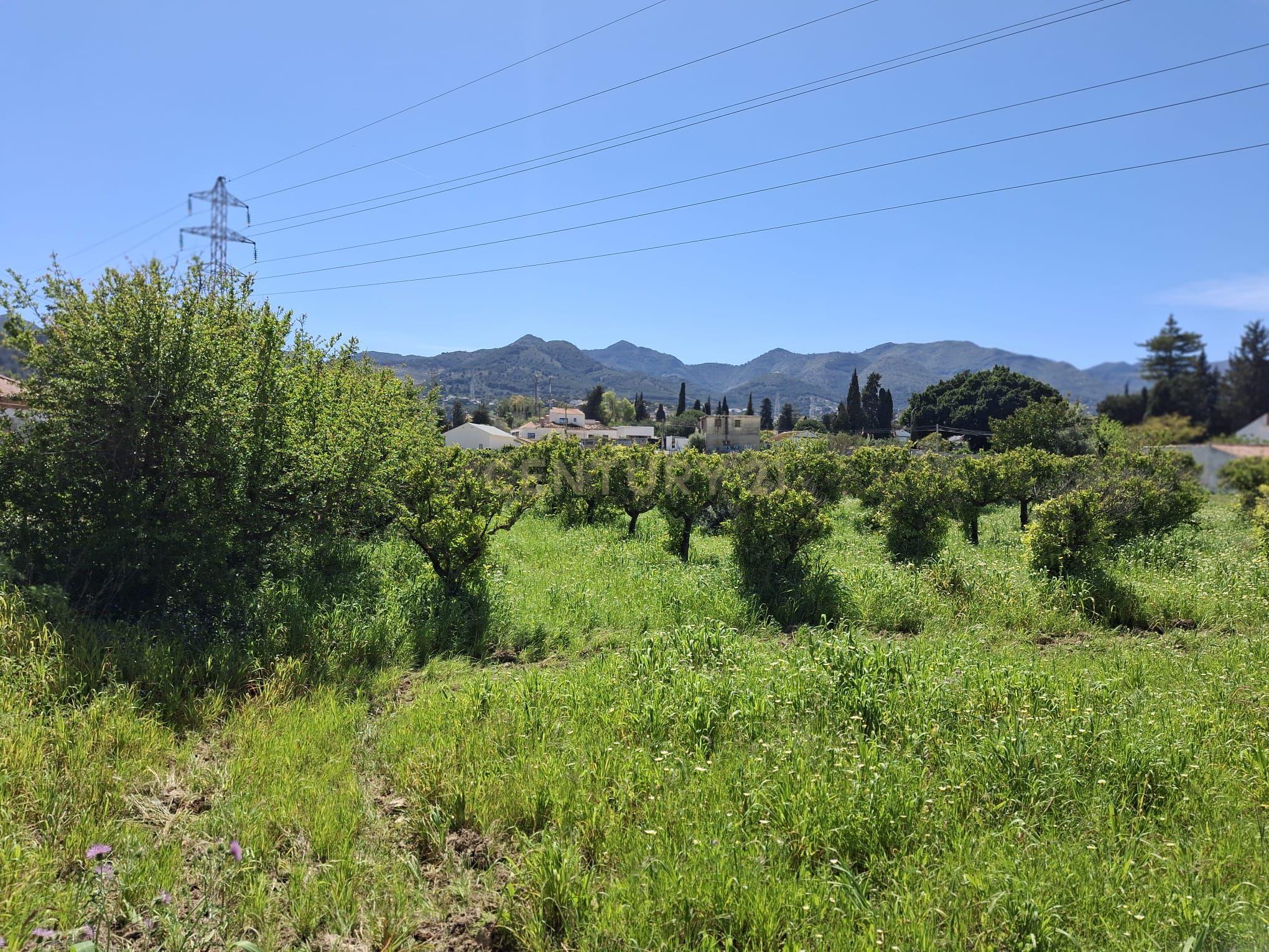 Encantadora Propriedade com Vista Panorâmica em Málaga - Image 4