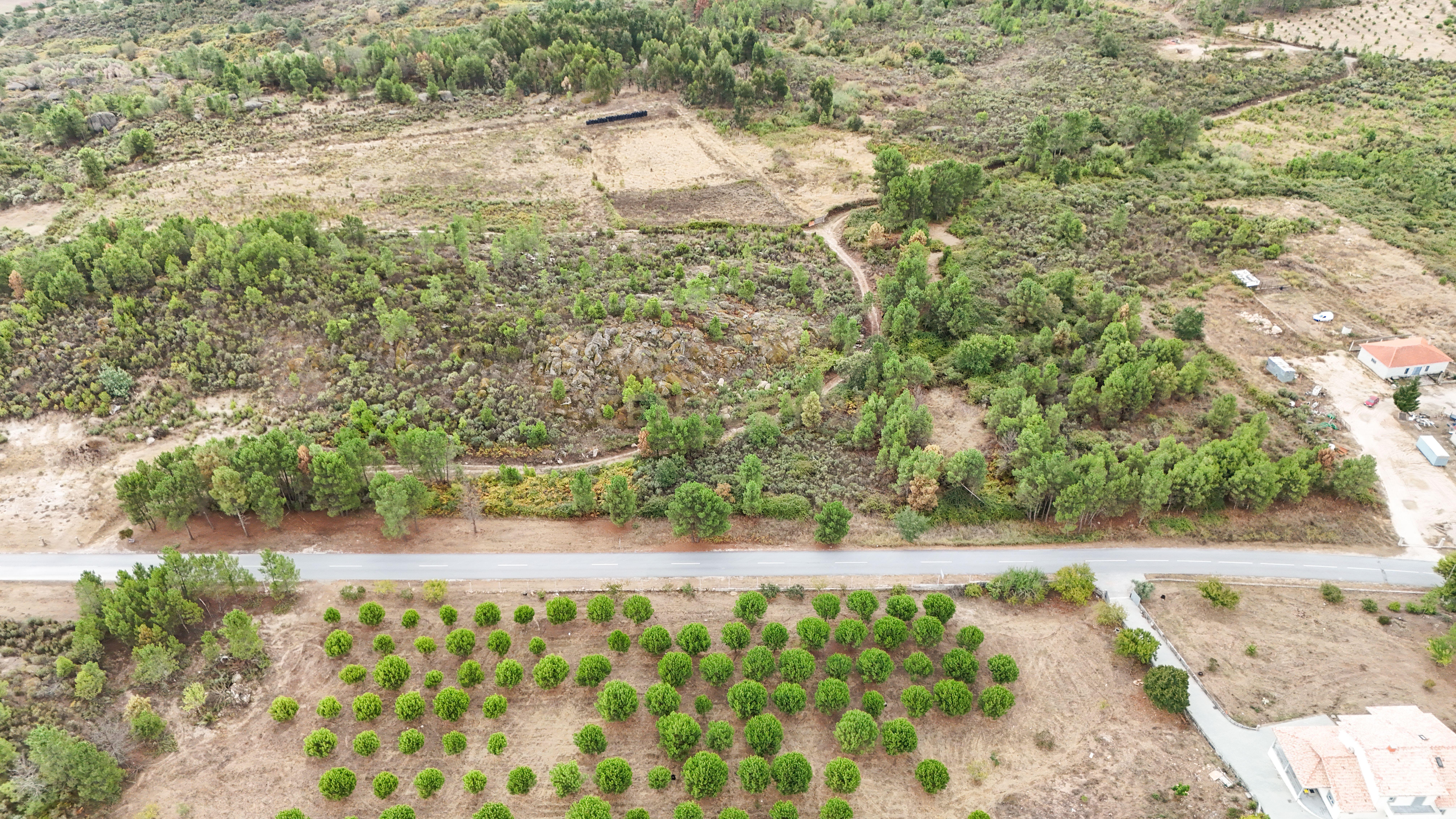 Fotografia 5 de Terreno com cerca de 18.000 m² em Figueiró da Granja - Fornos de Algodres
