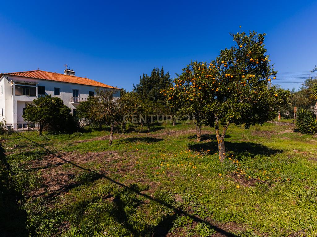 Propriedade com 11 divisões para recuperação em Estremoz com uma área total de 6185 m2 - Image 2