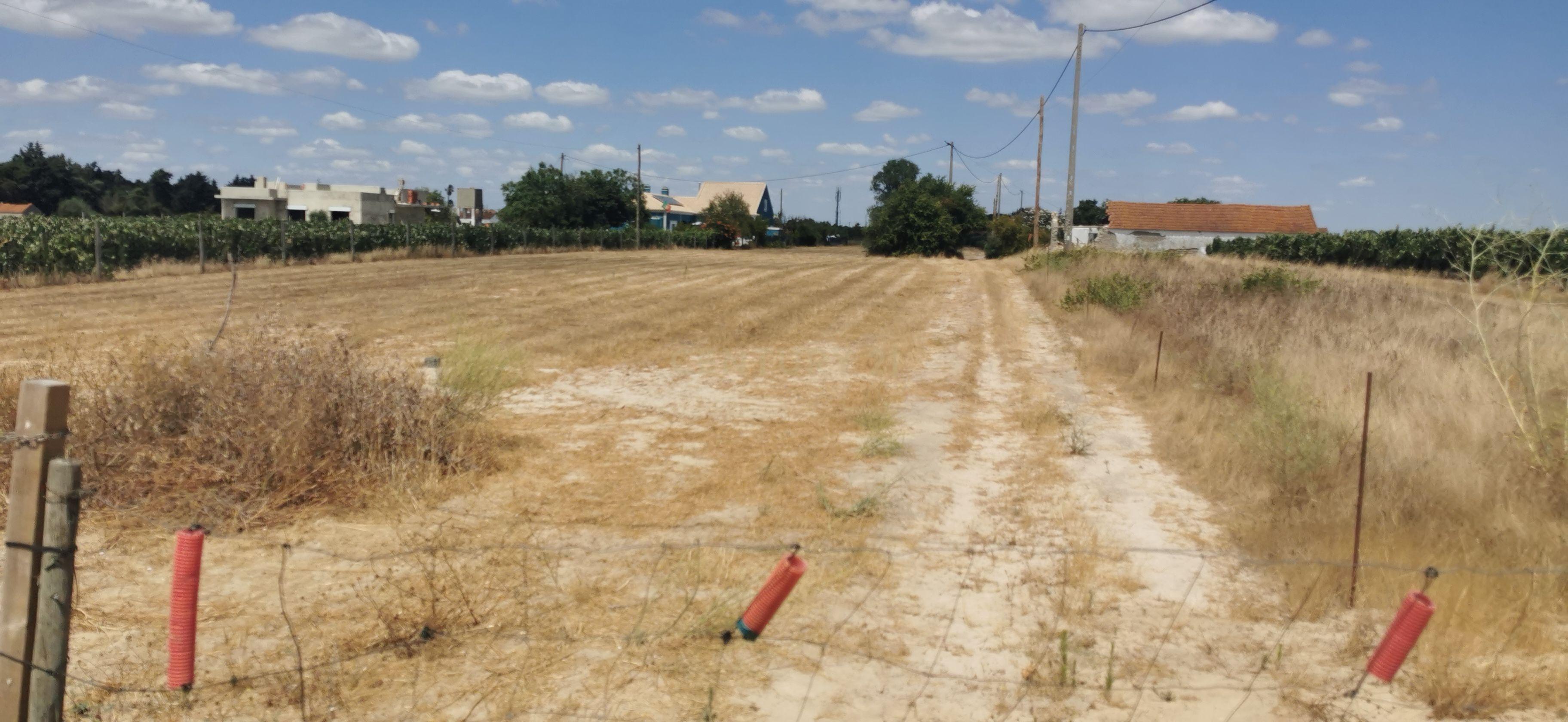 Fotografia 9 de Terreno com projeto aprovado em Palmela com Vista Panorâmica - Lau