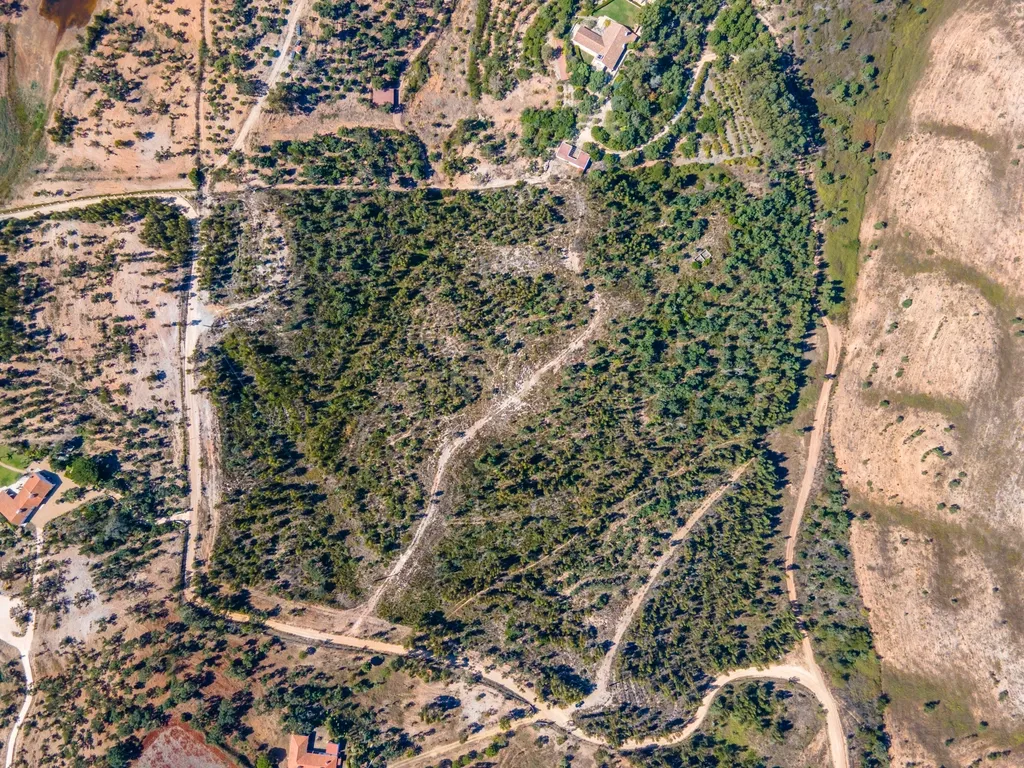 🌿 Terreno Exclusivo com 8 ha em São Teotónio — Oportunidade Única no Coração da Costa Vicentina 🌊 - Image 3