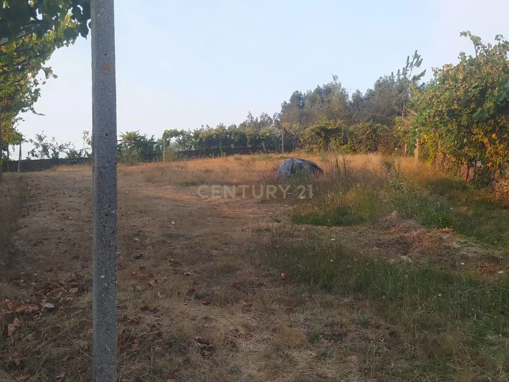 Terreno Rústico em Alvarenga – Arouca - Image 5