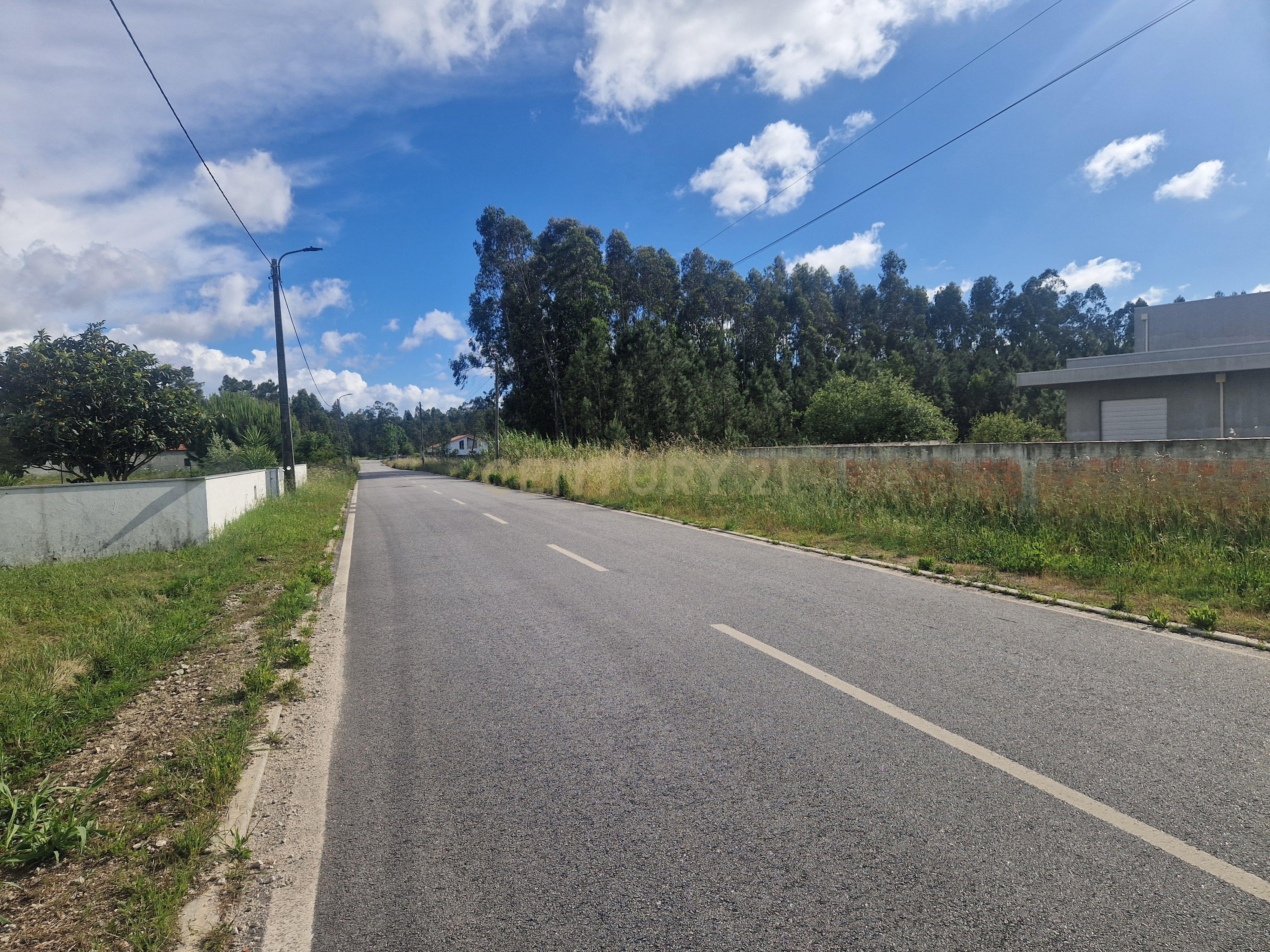 Fotografia 3 de Terreno Urbano na Rua Principal do Andal, Vagos - 3590m² com Acesso à Estrada
