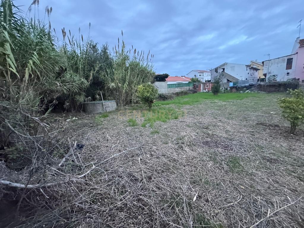 3 Moradias com terreno de 1079m2(não inclui a área de implantação das moradias) - Image 23