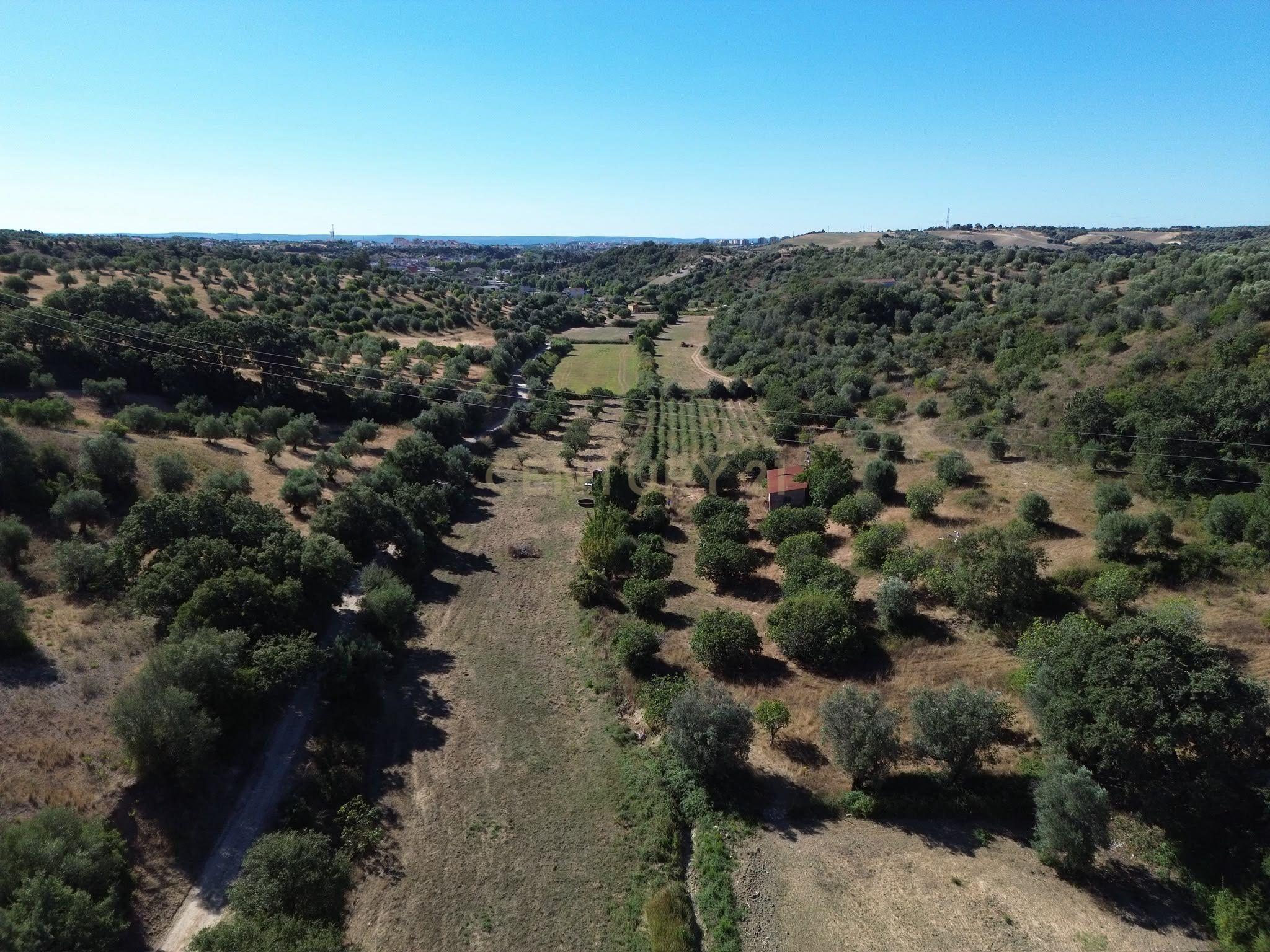 Fotografia 6 de Terreno Rústico com 29.880 m² nas Lapas, Torres Novas