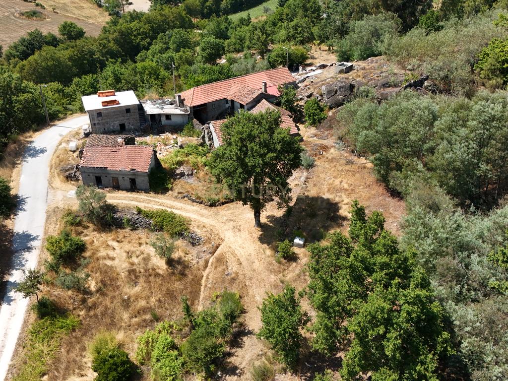 Quinta com Casa para Recuperação em Ferreira de Aves, Viseu - Image 18