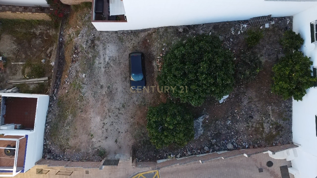  - Image 12