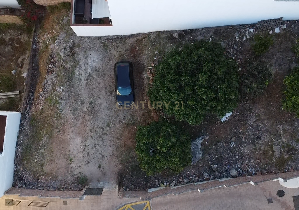  - Image 12
