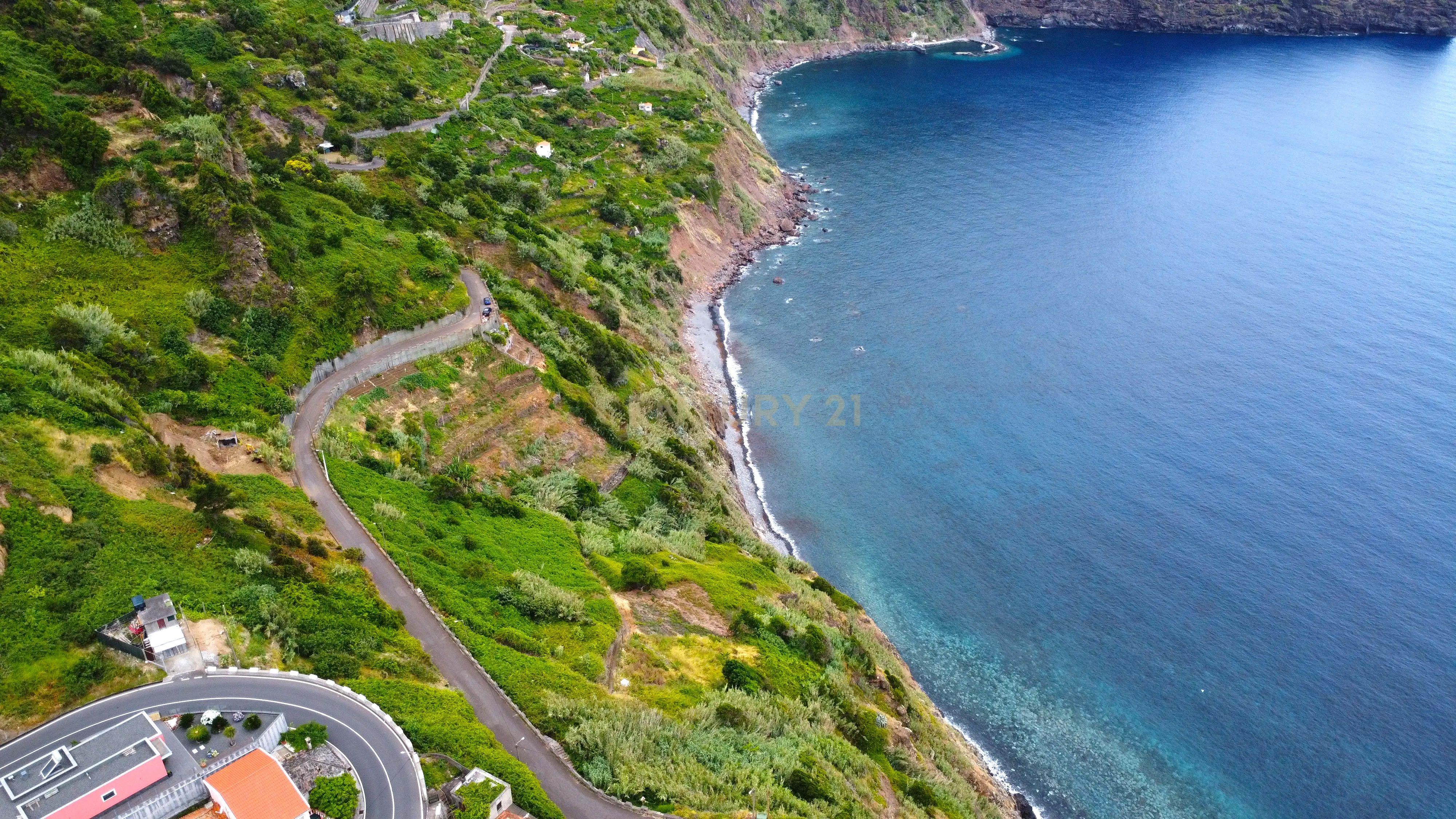 Fotografia 3 de Terreno Faial - Ilha da Madeira