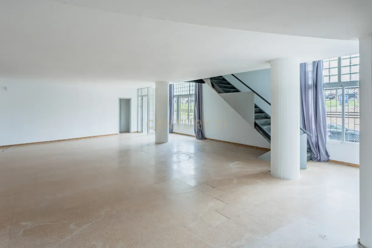  - Image 4